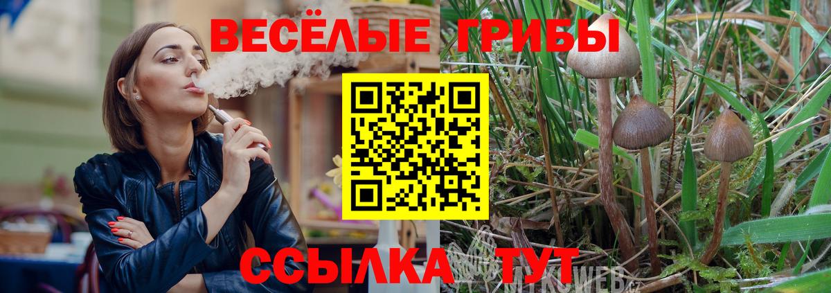 Псилоцибиновые грибы Cubensis Кулебаки