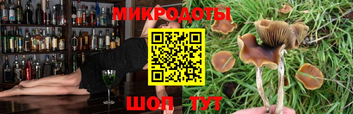 хочу   Псилоцибиновые грибы Psilocybine cubensis  Галлюциногенные грибы Cubensis  Вход с VPN  Кулебаки 